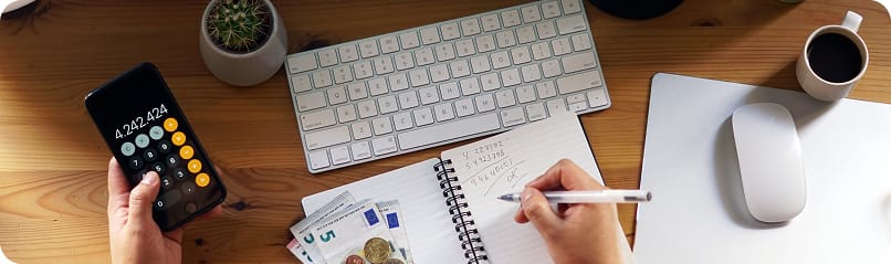 Easy Tracking of Income