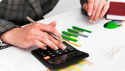 Expense & Revenue Accuracy Checks