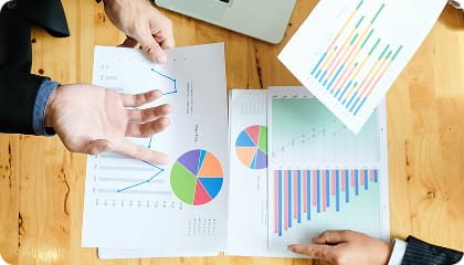 Profit & Loss, Balance Sheet & Cash Flow Reports